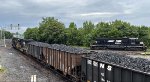 NS 3295 watches the parade.